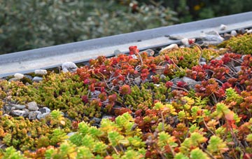 the cost of Essendon green roof installation