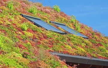 Essendon living roof systems