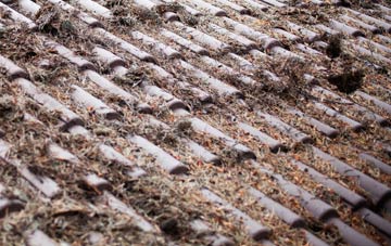 Essendon roof cleaning companies